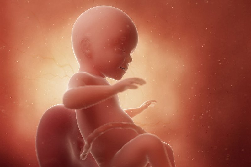 Jak wygląda dziecko w 26 tygodniu ciąży?