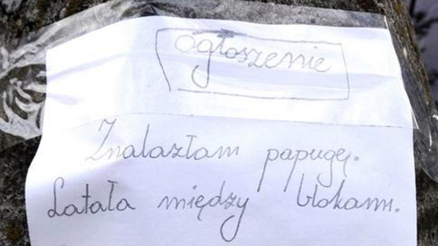 9-latka sama przygotowała ogłoszenie