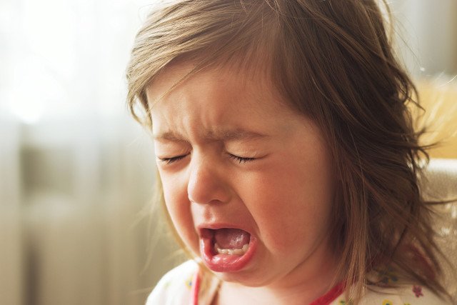 Prawo autorskie: katyashut / 123RF Zdjęcie Seryjne