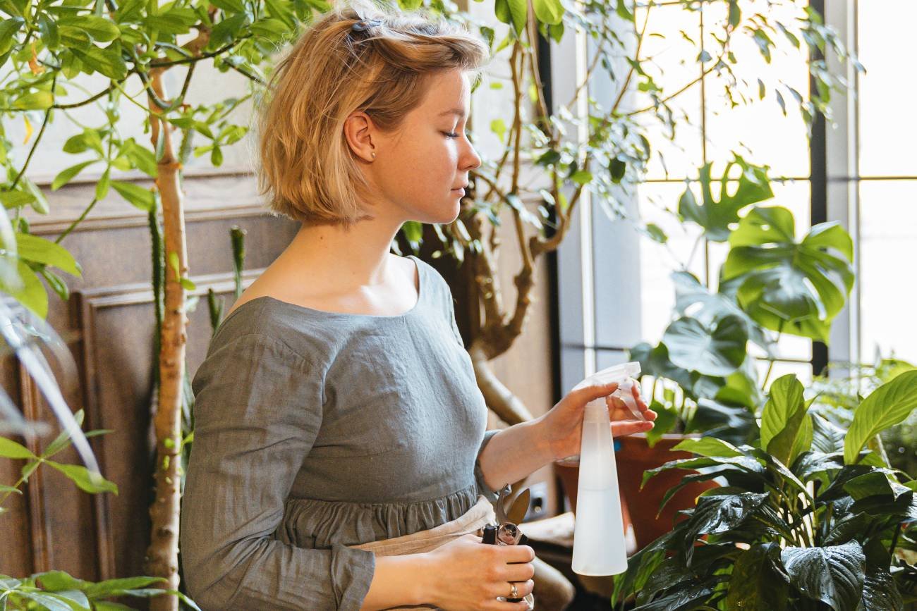 olejek pomarańczowy, przędziorki, wciornastki, skoczki, mszyce, kwiaty doniczkowe, rośliny doniczkowe, insekty