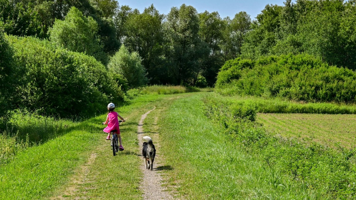 dziewczyna jedzie na rowerze polną ścieżką