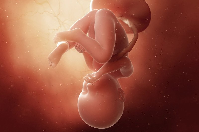 37 tydzień ciąży zdjęcie