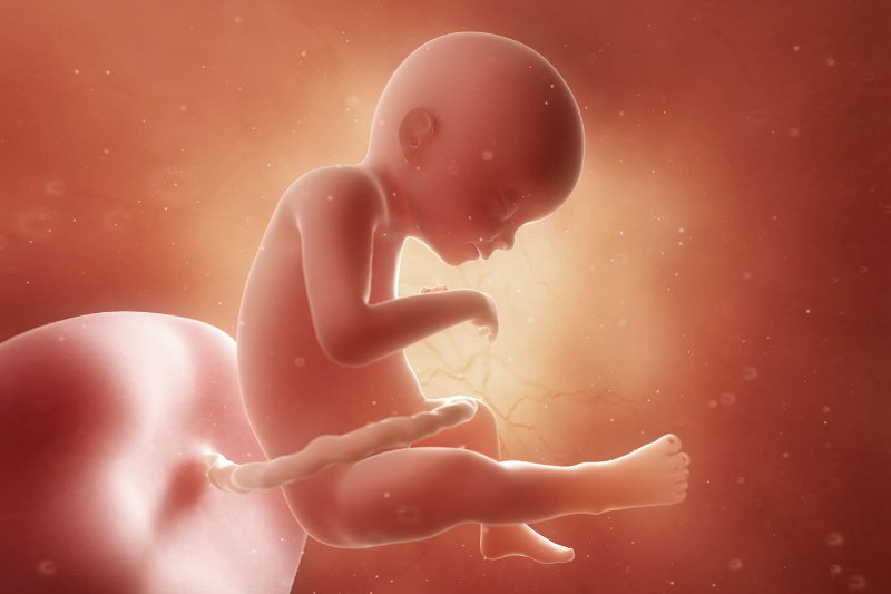 płód w 21 tygodniu ciąży