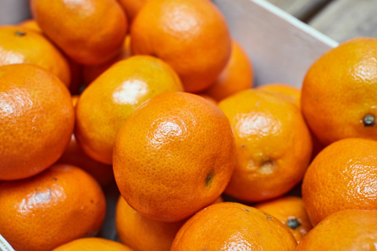 Wybierając mandarynki warto zwrócić uwagę na tę jedną rzecz.