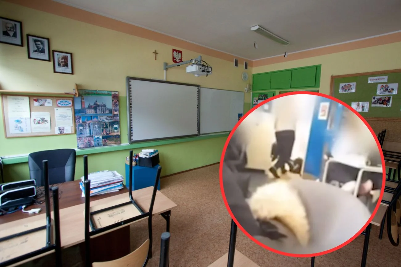nauczyciel popycha ucznia na podłogę