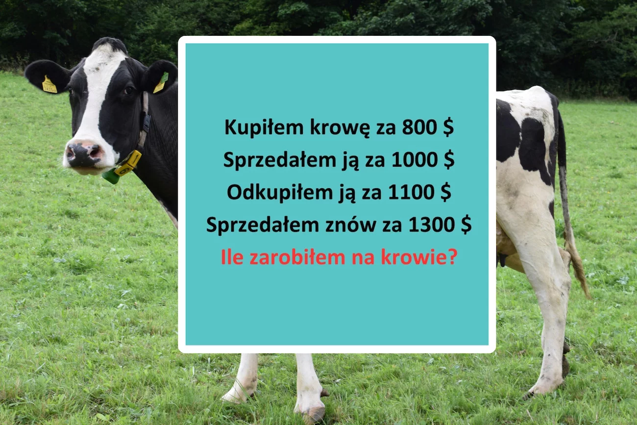 matematyczna zagadka: ile zarobiłem na krowie