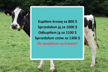 matematyczna zagadka: ile zarobiłem na krowie
