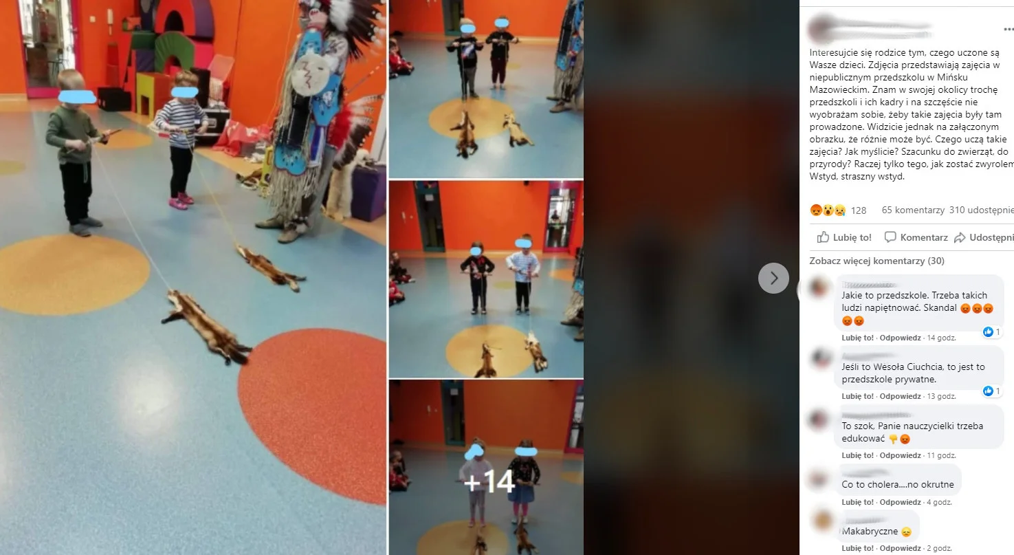 Zajęcia z martwymi zwierzętami w przedszkolu