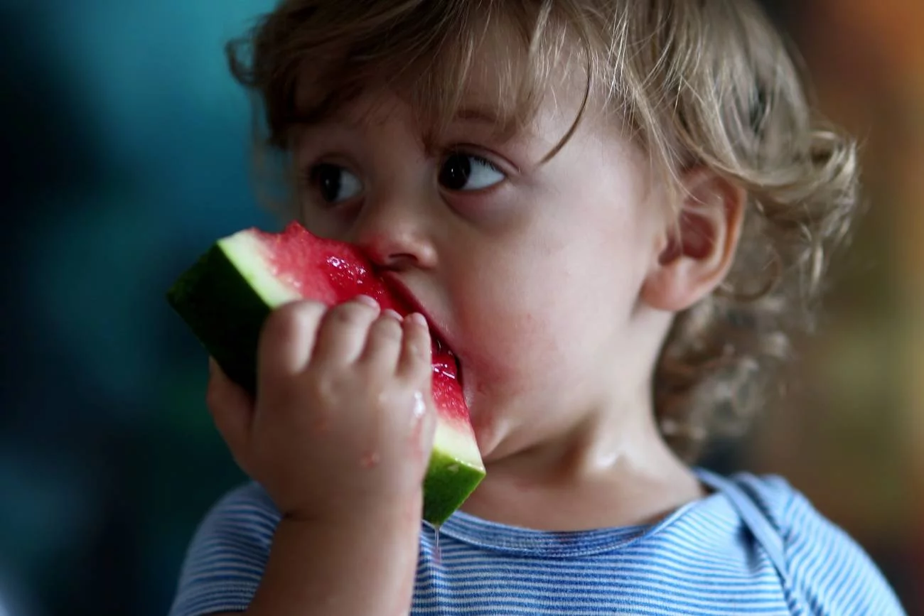 małe dziecko jedzące zdrową przekąskę: arbuza małe dziecko jedzące zdrową przekąskę: arbuza