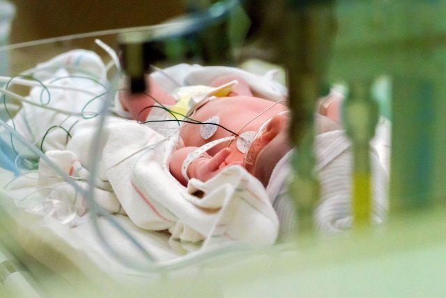 W Lublinie urodziły się czworaczki