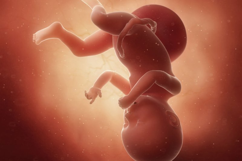 płód w 40 tygodniu ciąży