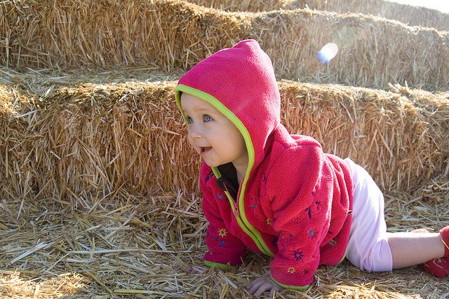 Fot. Flickr/[url=https://www.flickr.com/photos/nerdcoregirl/2959698486/]Caitlin Childs[/url] / [url=http://bit.ly/CC-BY-SA-2]CC BY-SA[/url]