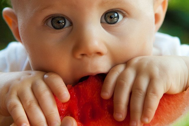 Fot. Pixabay / [url=https://pixabay.com/en/baby-bite-boy-child-cute-eat-84686/]PublicDomainPictures[/url] / [url=https://pixabay.com/en/service/terms/#usage]CC0 Public Domain[/url]