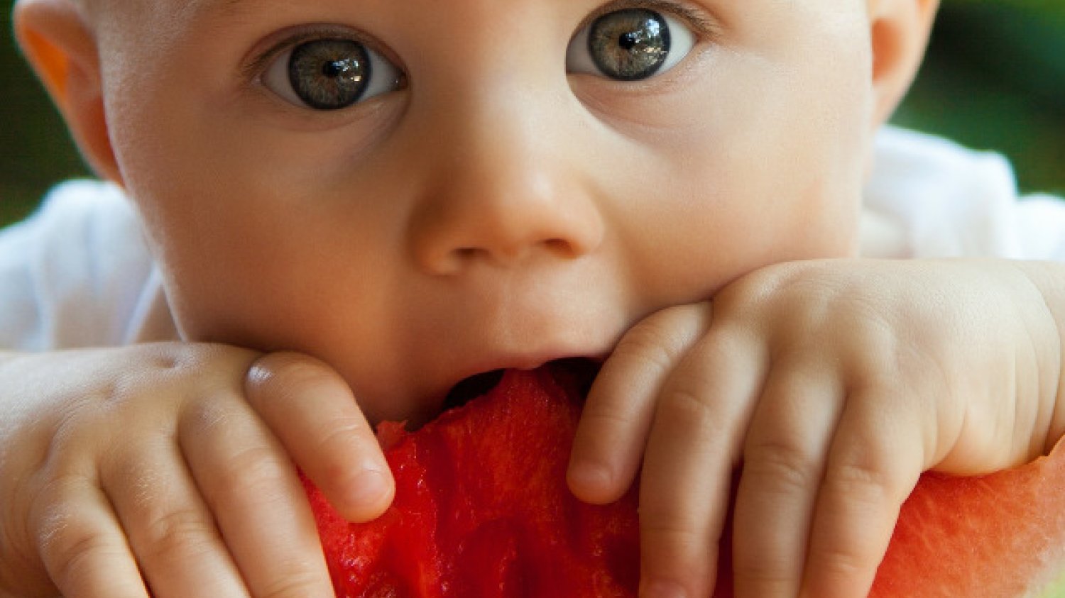 Fot. Pixabay / [url=https://pixabay.com/en/baby-bite-boy-child-cute-eat-84686/]PublicDomainPictures[/url] / [url=https://pixabay.com/en/service/terms/#usage]CC0 Public Domain[/url]