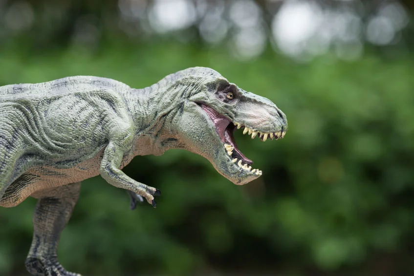 Zdjęcia dziewczynki i "dinozaura" wzruszyły ludzi na całym świecie.