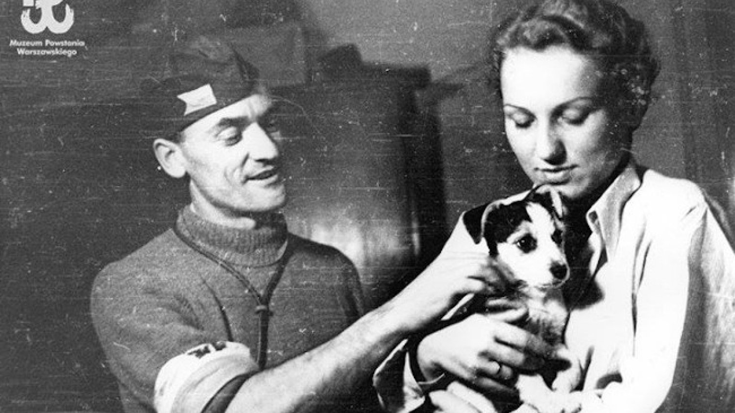 76. rocznica Powstania Warszawskiego - co się działo z psami podczas II wojny światowej