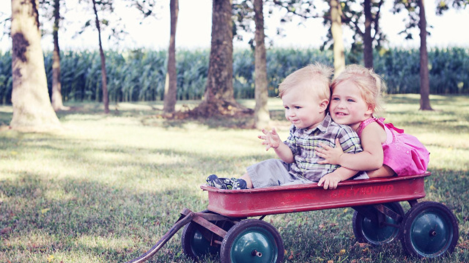 Fot. Pixabay / [url=https://pixabay.com/pl/m%C5%82odzie%C5%BC-dzieci-wagon-dziecko-640094/]mcconnmama[/url] / [url=https://pixabay.com/pl/service/terms/#usage]CC0 Public Domain[/url]
