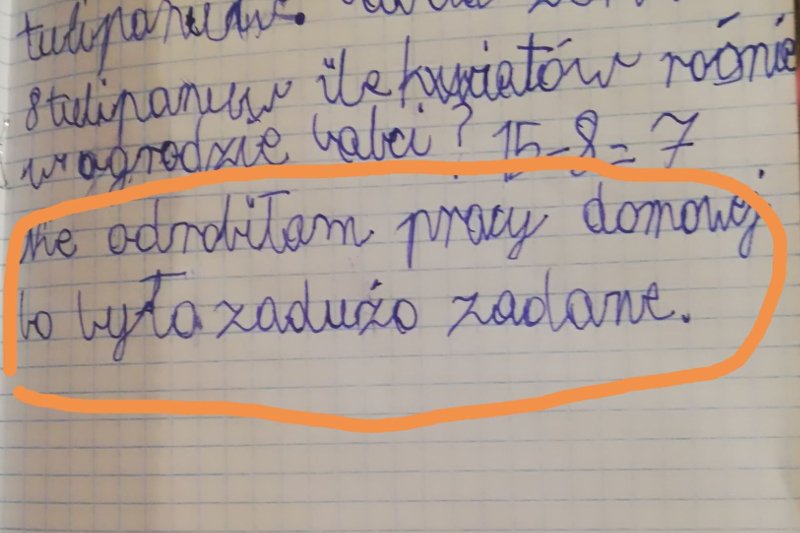 Dzieci na początku podstawówki mają niekiedy system pracy niemal jak dorośli