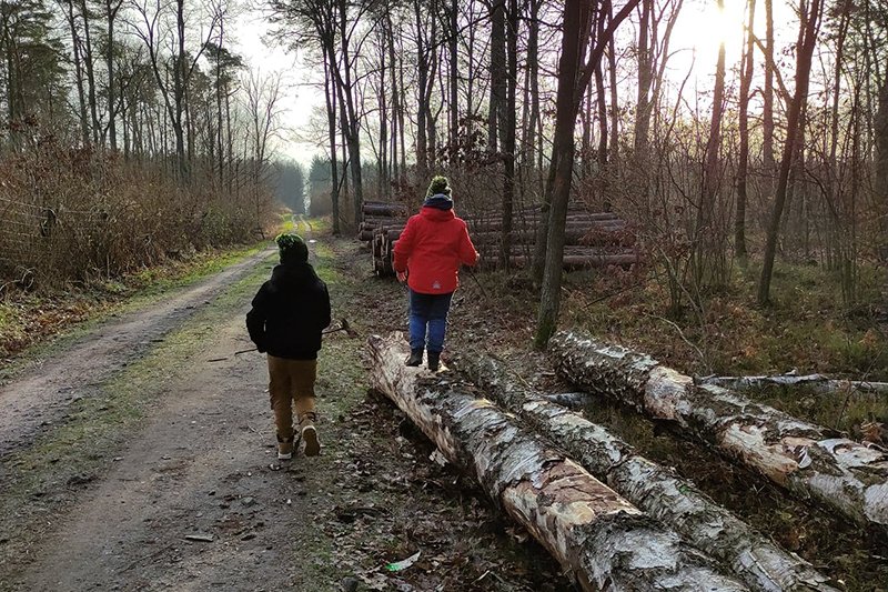 Leśnicy ostrzegają przed żmijami