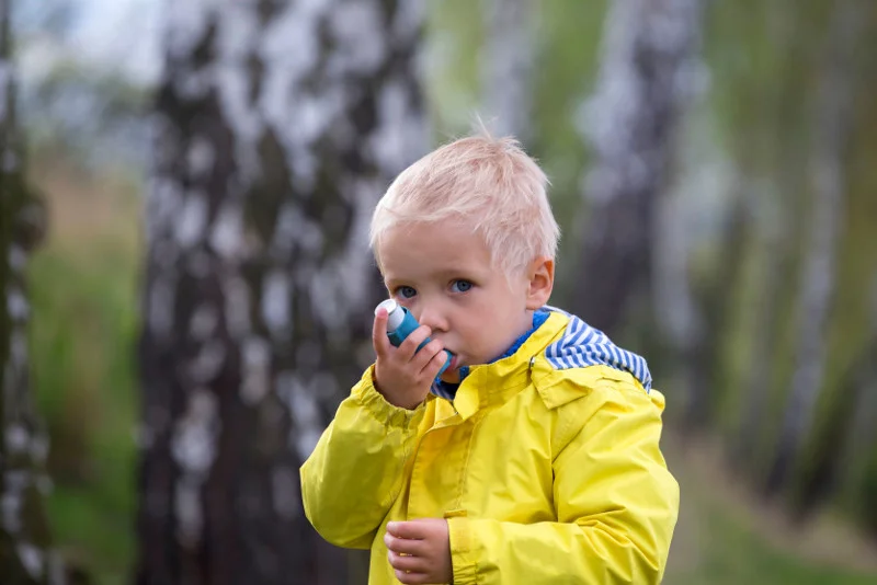 Co pyli w kwietniu, na jakie rośliny muszą uważać alergicy?