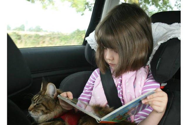 Iris Grace ma dopiero pięć lat, ale jej obrazy kupują kolekcjonerzy na całym świecie