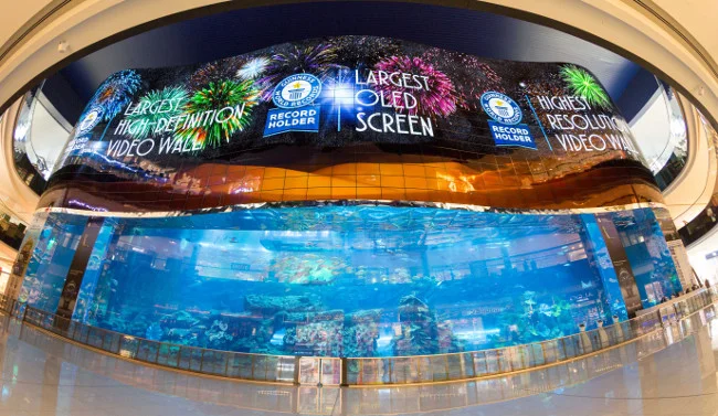 Dubai Mall - centrum handlowe z gigantycznym akwarium.