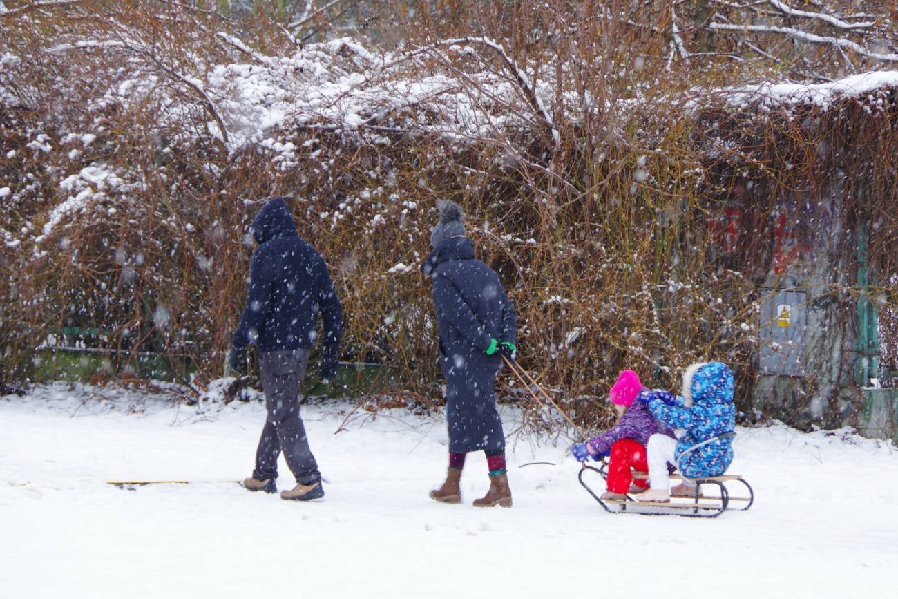 Rodzice na spacerze z dziećmi na sankach. Rodzice na spacerze z dziećmi na sankach.