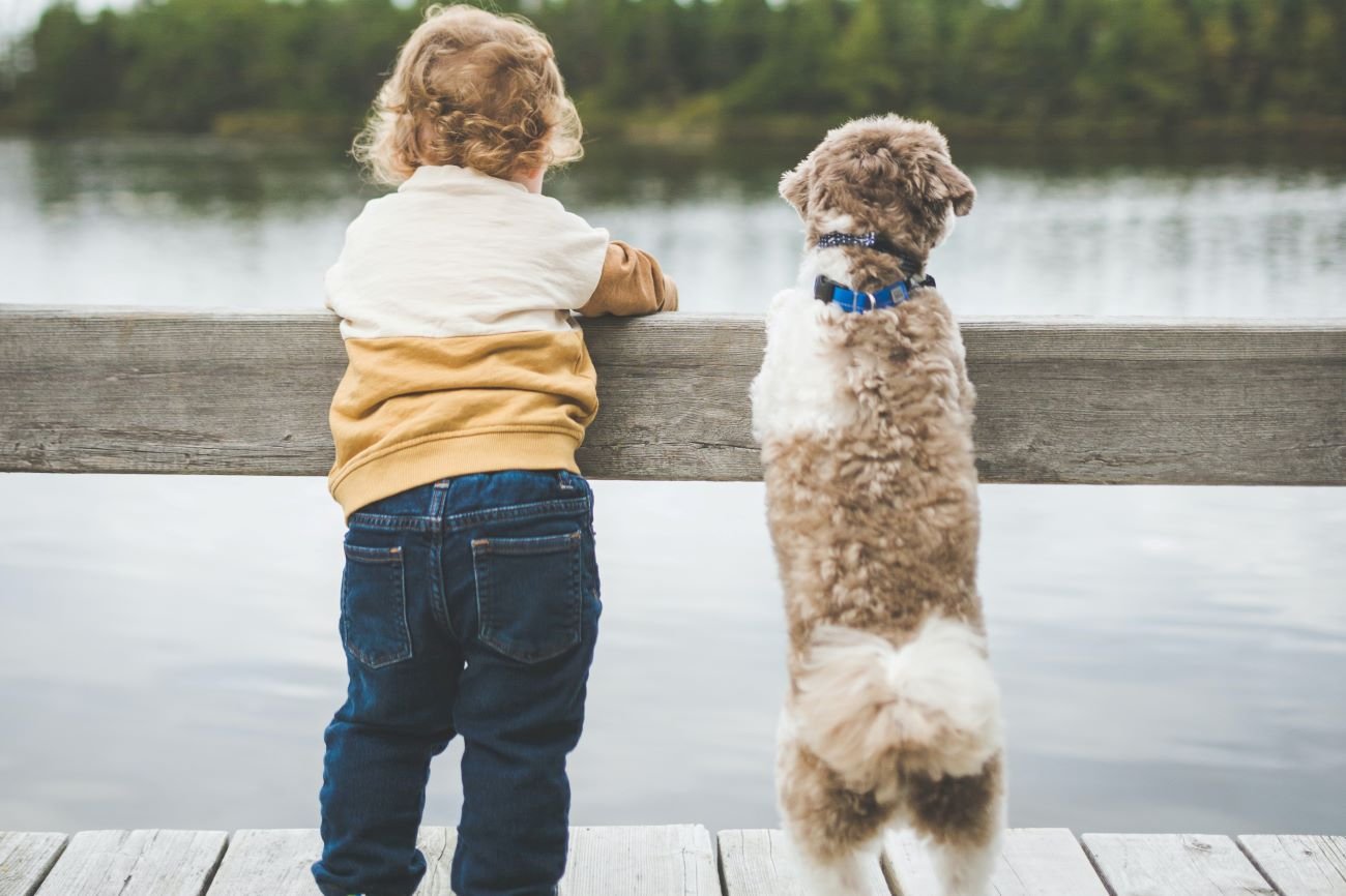 Dziecko i pies/Dziecko wychowuje się z psem