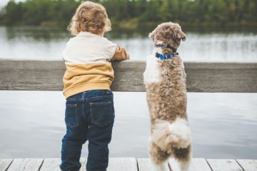 Dziecko i pies/Dziecko wychowuje się z psem
