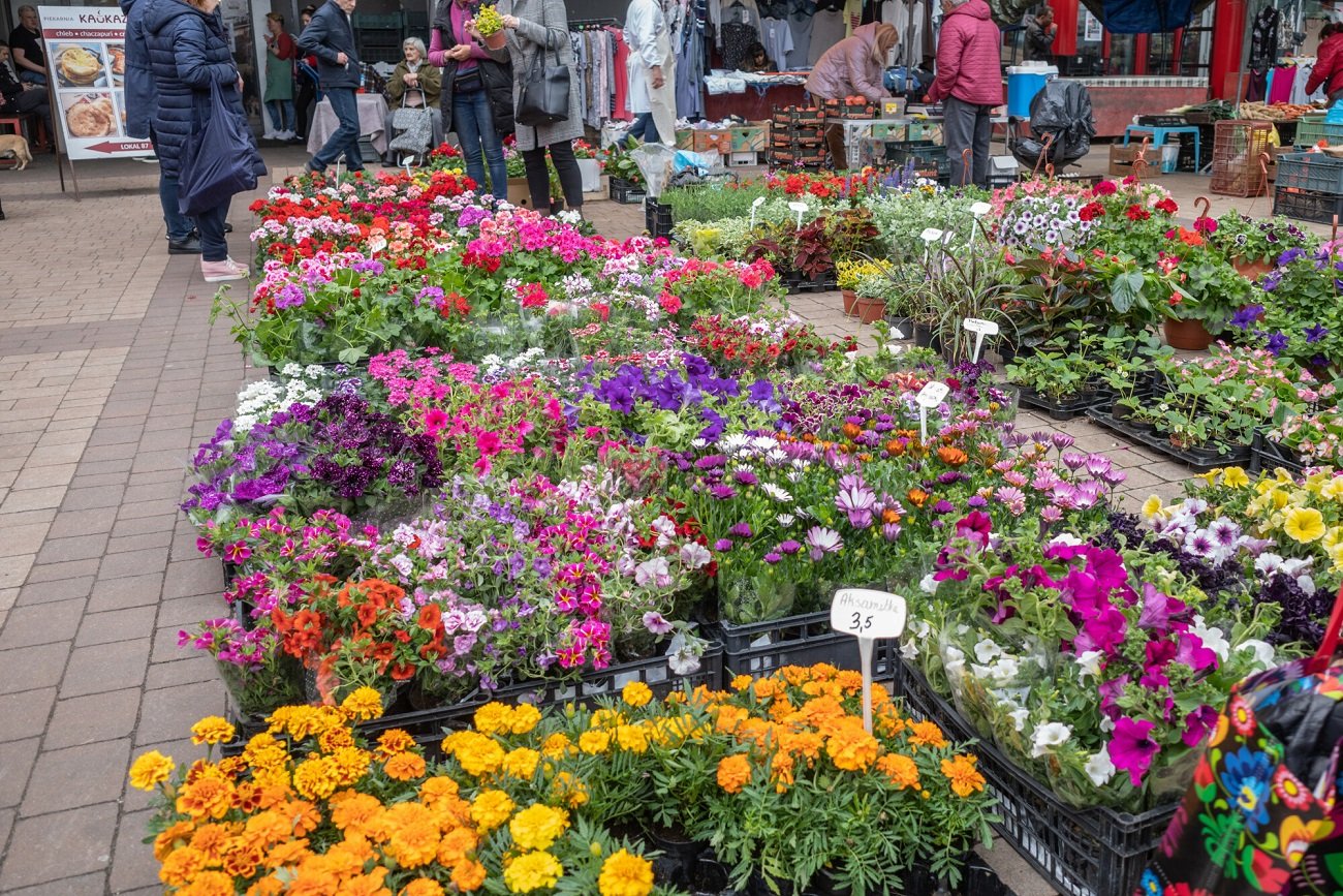 Twoje kwiaty będą rosły jak szalone. Naturalny nawóz znajdziesz w każdej kuchni