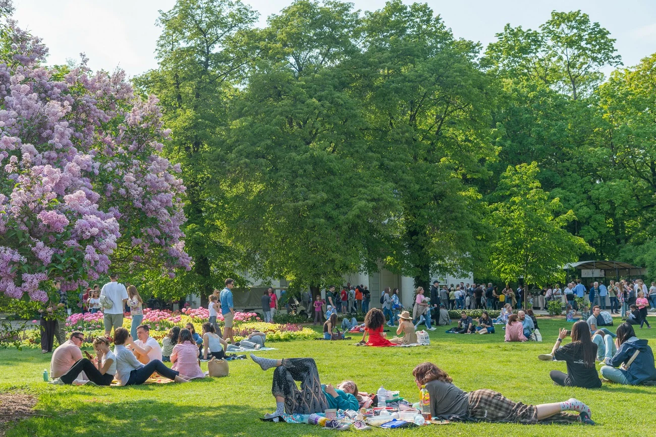 Piknik Piknik