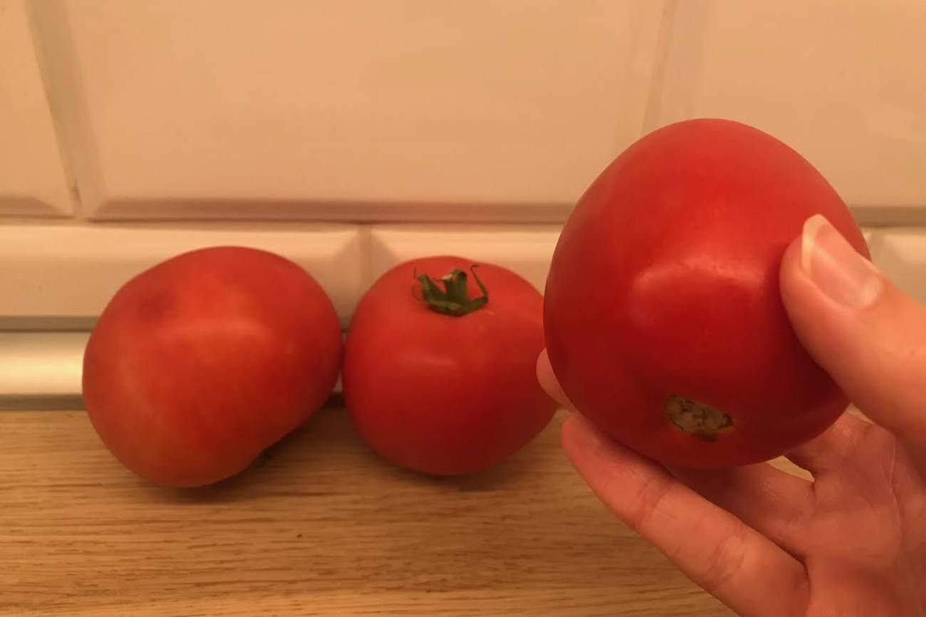 Pomidory leżące na blacie, jeden trzymany w rękach