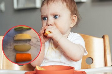 Niemowlak podczas rozszerzania diety je samodzielnie metodą BLW.