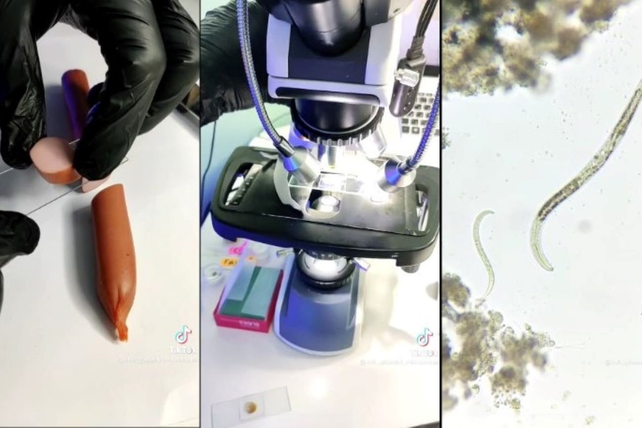 Pasożyty w parówkach