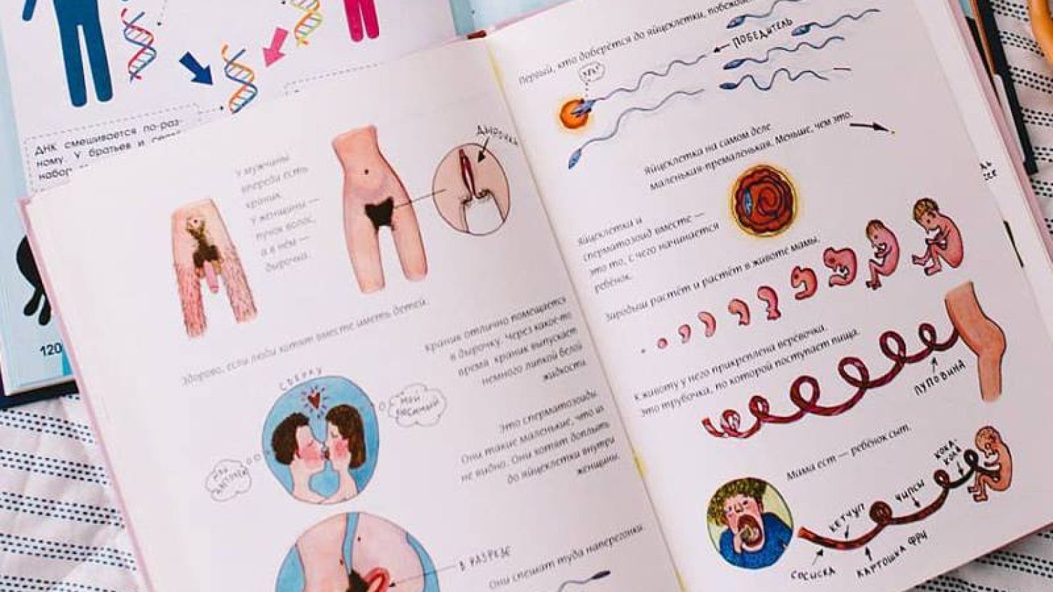 Grafiki z "Małej książki o miłości" wywołały oburzenie wśród rodziców