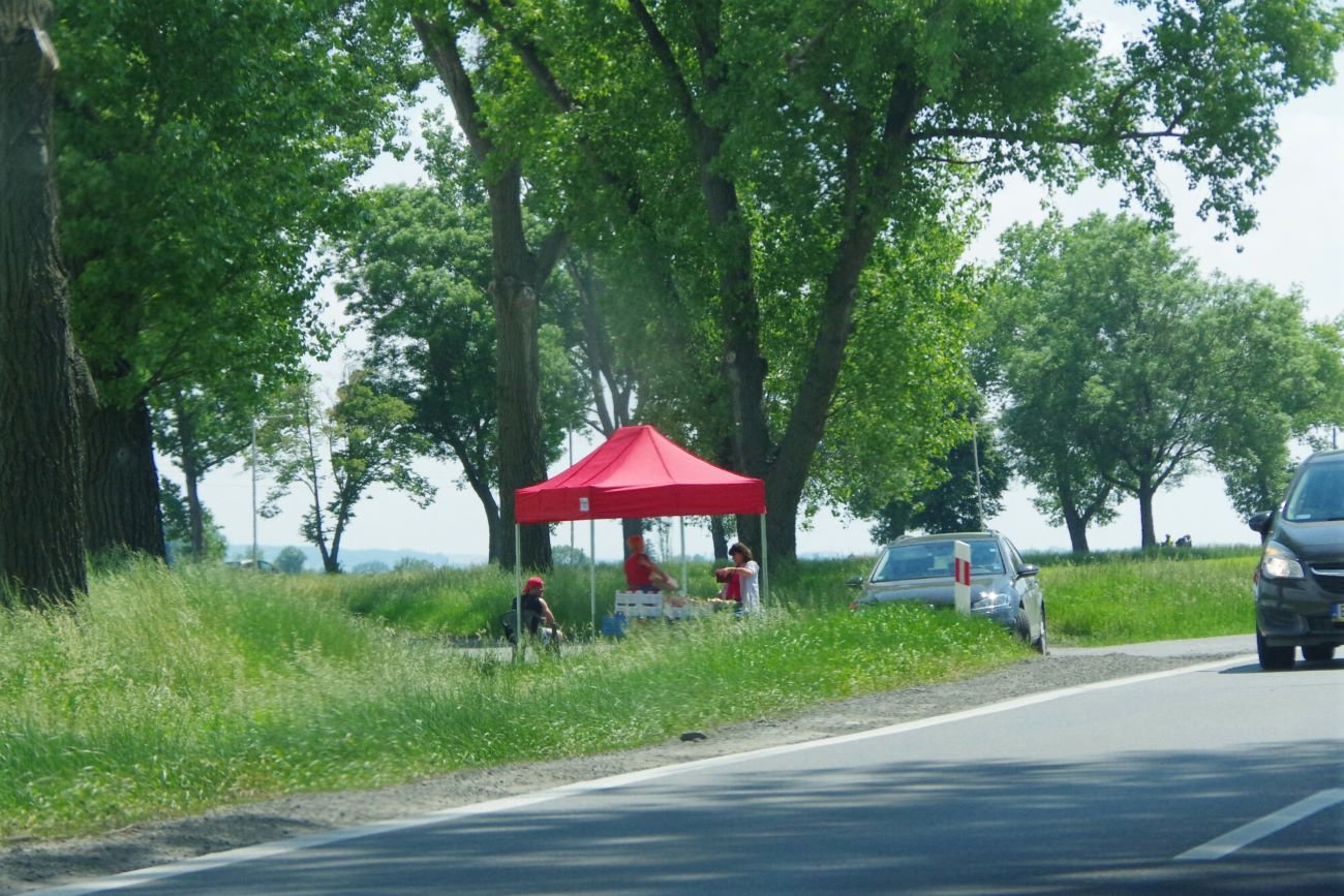 Dzieci handlują przy drodze