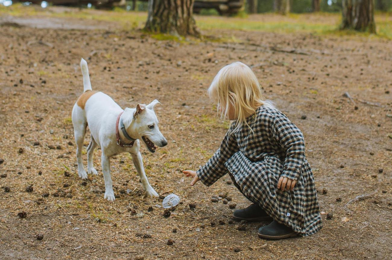"Mogę pogłaskać pieska?". Oto dlaczego na to pytanie trzeba odpowiedzieć "nie"