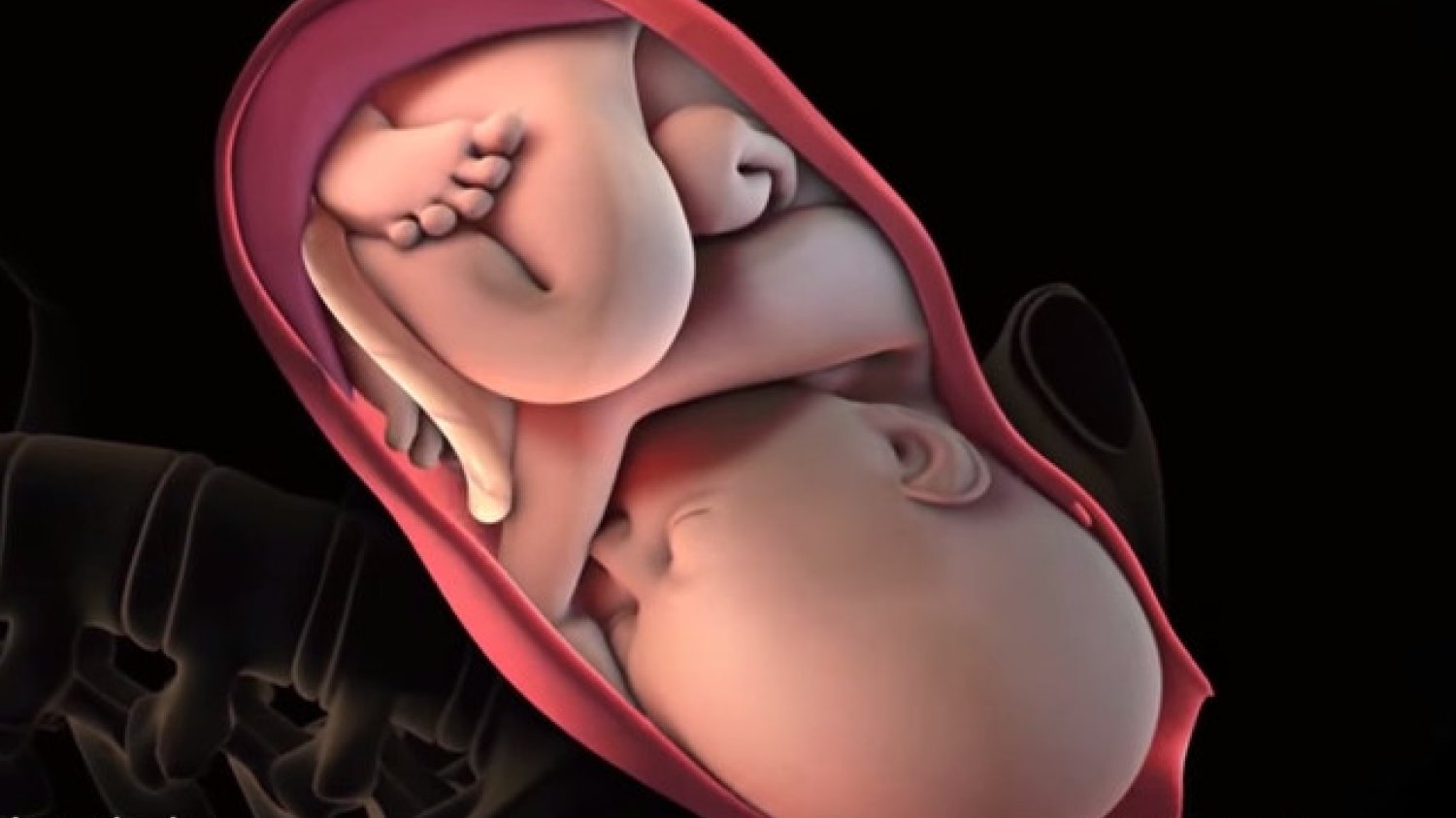 Fot. Screen z Youtube / [url=https://youtu.be/GYeXE9bCWCA]Manipal Hospitals[/url]