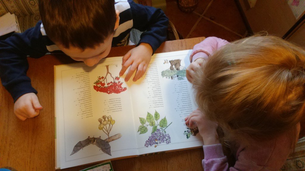 Nawet przy indeksie można coś obejrzeć – o, nietoperz!