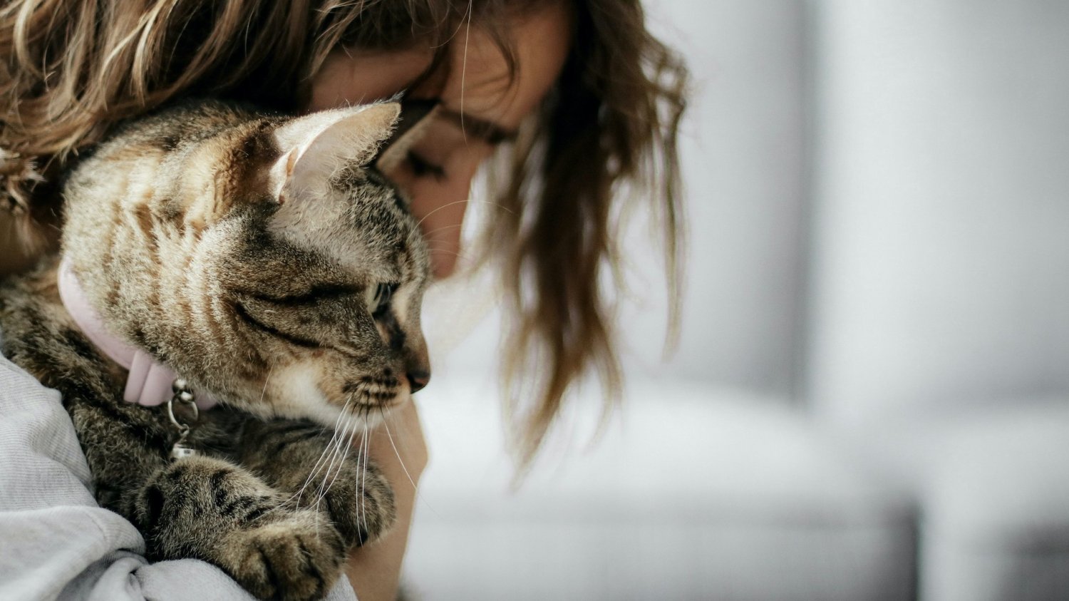 kobieta z kotem