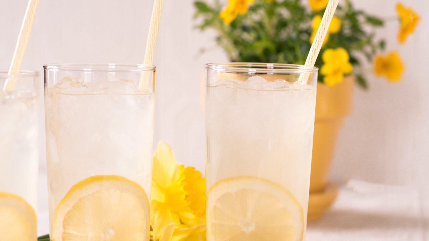 Przepis na klasyczną lemoniadę. Jak zrobić idealną lemoniadę?