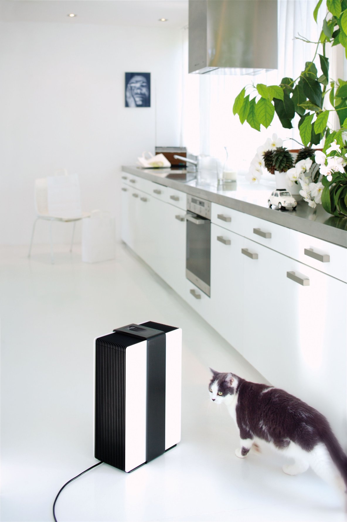 Robert - nawilżacz z funkcją oczyszczania powietrza firmy Stadler Form