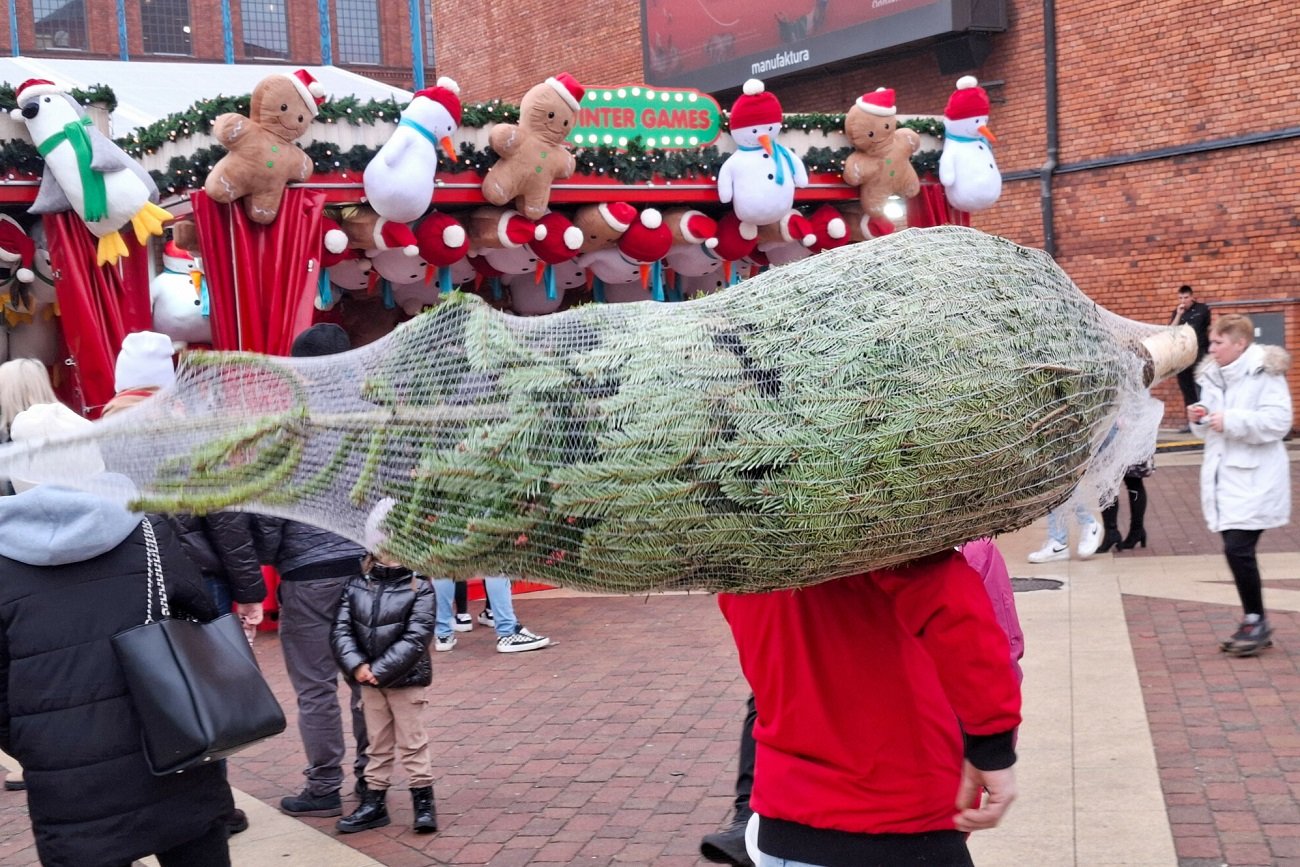 W moim domu nie ma światecznej choinki. Nie ubieram choinki na święta.