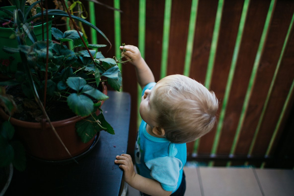 Chłopiec jest bardzo zainteresowany otoczeniem, z ciekawością poznaje nowe kształty, kolory.