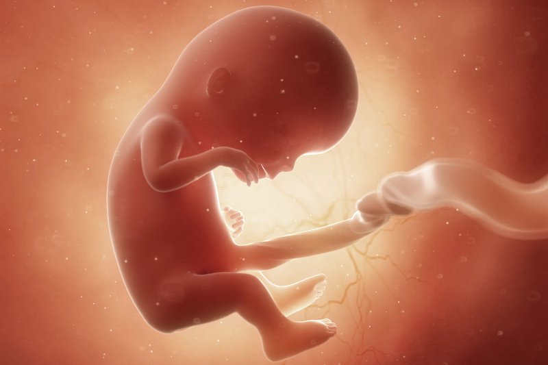 12 tydzień ciąży: płód