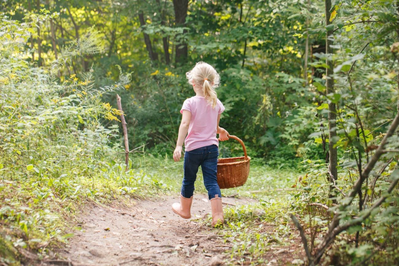 Mała dziewczynka z koszykiem w lesie zbiera grzyby.
