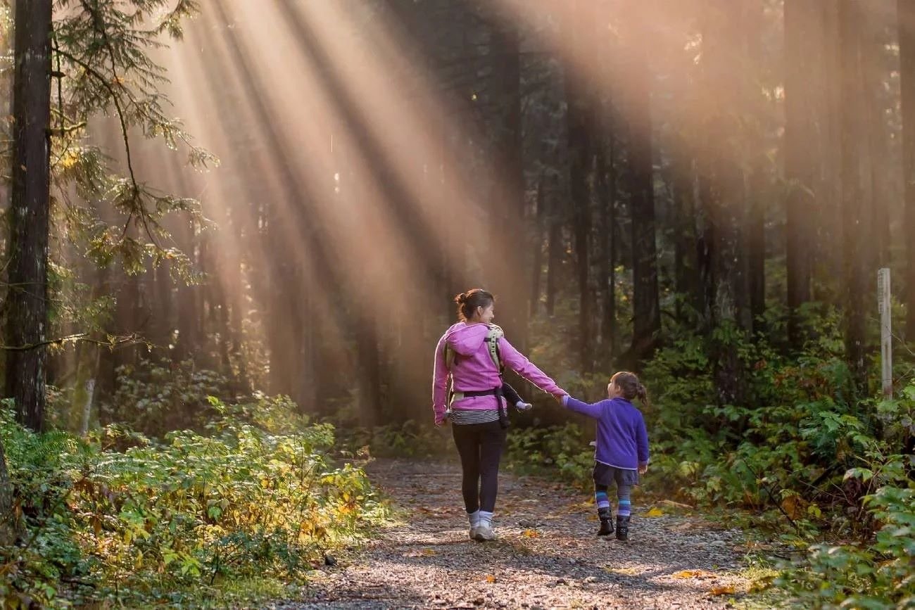 zasada według Jespera Juula/wychowanie według Jespera Juula