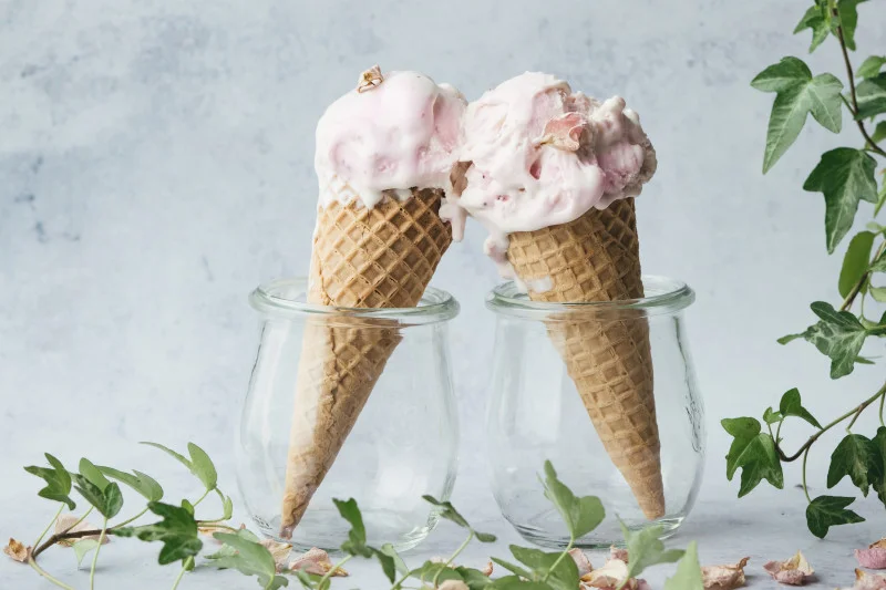 Domowe lody - przepisy Domowe lody - przepisy