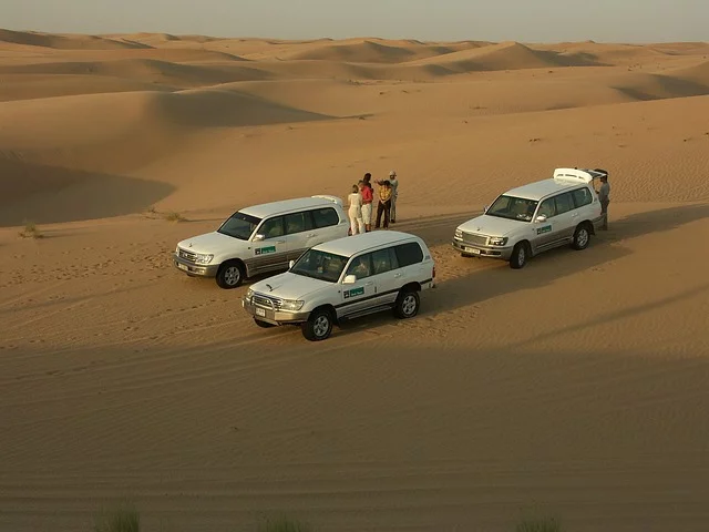 Fot. Pixabay/[url=https://pixabay.com/pl/pustynia-suv-jeepy-safari-piasku-400881/]atimedia[/url] / [url=  http://pixabay.com/pl/service/terms/#download_terms]CC O[/url]