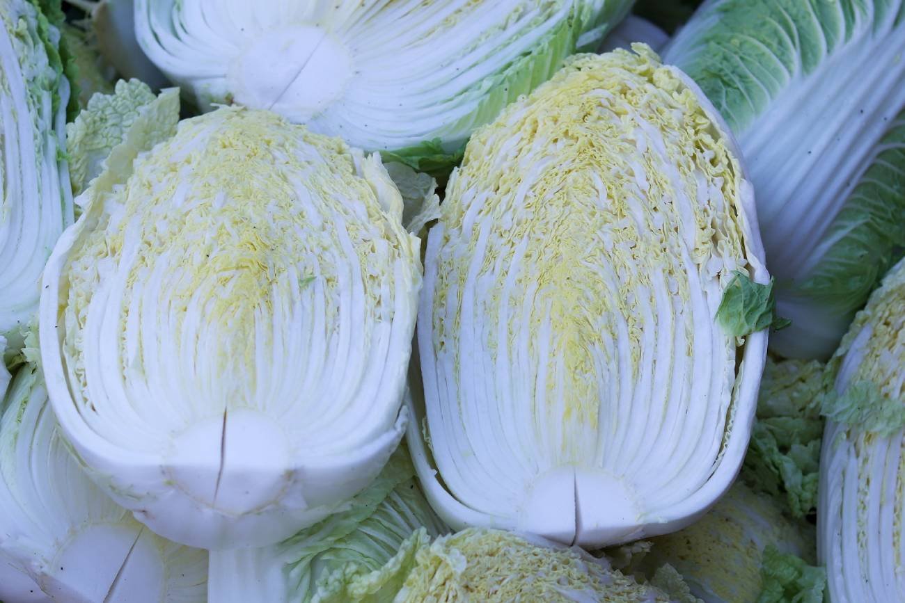 kapusta pekińska, czarne plamki na kapuście pekińskiej